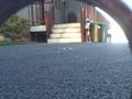 videos de 4 set