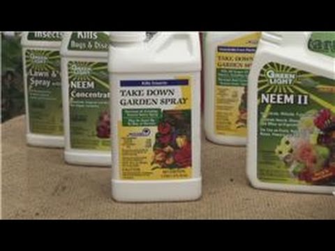 how to care and maintain a vegetable garden