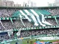 Coritiba x Criciúma - Entrada em campo - Camisão (12/10/07)