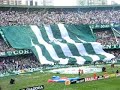 Coritiba x Criciúma - Entrada em campo - Camisão (12/10/07)