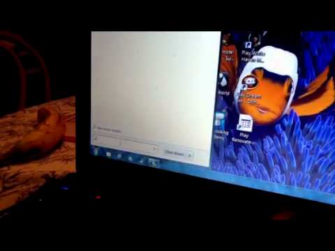 how to on camera in acer laptop