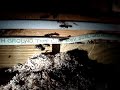 Carpenter Ants chew wood and remove it.