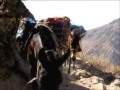 Canyon de Colca, le 2e plus profond du monde Pérou, amérique