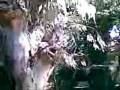 ovni,, increible!!