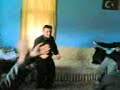 Yortan genclik