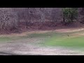 Ranthambore National Park: An Incredible Wildlife Tour >> http://www.youtube.com/watch?v=Tc4ZJG34nJ4&feature=youtu.be