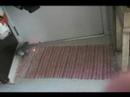 Manzi african grey laser Manzi african grey laser