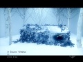 Video screenshot
