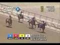 Bernardini - 2006 Withers Stakes
