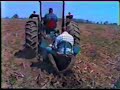 Reforestation