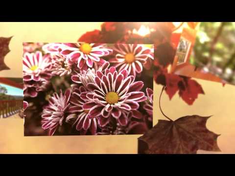 Big Bear Lodge Video Tour