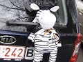 Wat er met de zebra mascotte gebeurd is ...