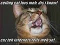 Funny different kinds