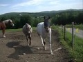 i am- nadia.wmv