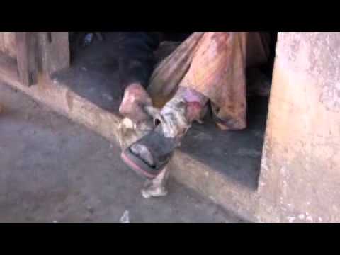 how to cure leprosy