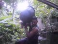 THE BIGEST SWEET WATER TURTLE
