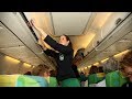 stewardess transavia