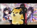 View 18 Baby Dogecoin Meme