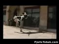 Crazy Cow
