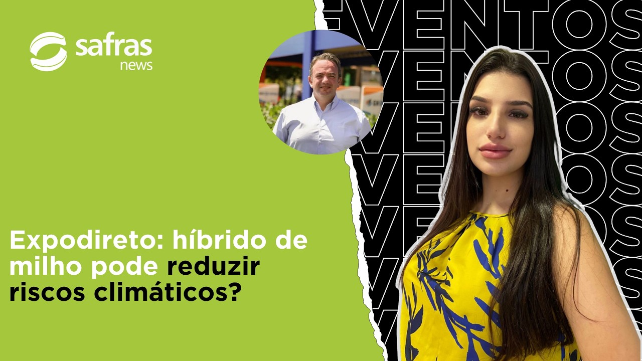 Syngenta destaca híbrido de milho hiperprecoce na Expodireto