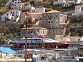 Hydra