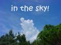 Blue Sky