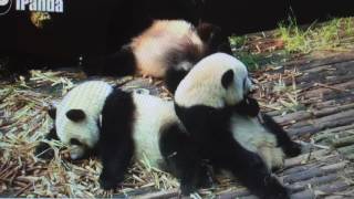 Smithsonian National Zoo