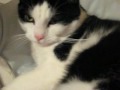 rantanen-again.html
