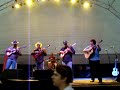 Viola Caipira na Expocacha�a 2008