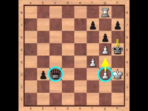 chess tactics chess tactics