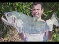 Vida de Pescador
