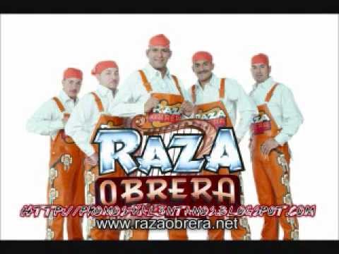 panochas.mexicanas.com