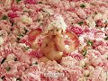 BEBES - Dulces Sueños - Sweet Dreams - 3 / 6