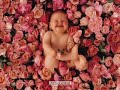 BEBES - Dulces Sue�os - Sweet Dreams - 3 / 6
