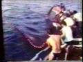 SCENE DI PESCA DELLE COSTARDELLE NELLO STRETTO DI MESSINA