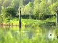 Distinguishing Portland: Sustainability