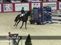 silvio shutterfly beligneux haras silvio shutterfly beligneux haras