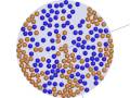 videos de 200particles-topA