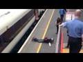 Arrested at gunpoint - and innocent