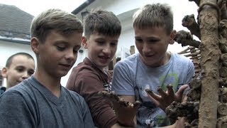 Archeologický den v mohelnickém muzeu