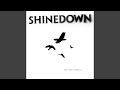 ShineDown - What A Shame default - ShineDown - What A Shame