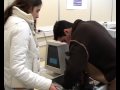 ETLA - Curso de Inform�tica de Gest�o