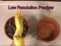 Manure Substrates