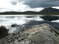 Flyfishing for trout in Scotland