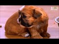 Icon for Post #Too Cute! – Calling in Reinforcements