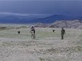 Police dogs vs MTBs