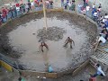 Giochi popolari : caccia al cinghiale (3) - Brognaturo 2008
