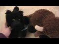 My Webkinz I Got For Christmas And New Camera!