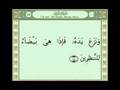 Holy Quran W/Text---Al-A'raf Part 5