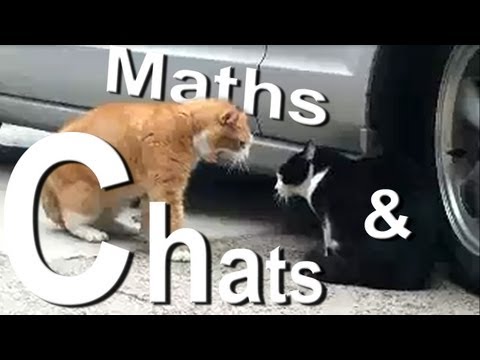 Image de prévisualisation YouTube